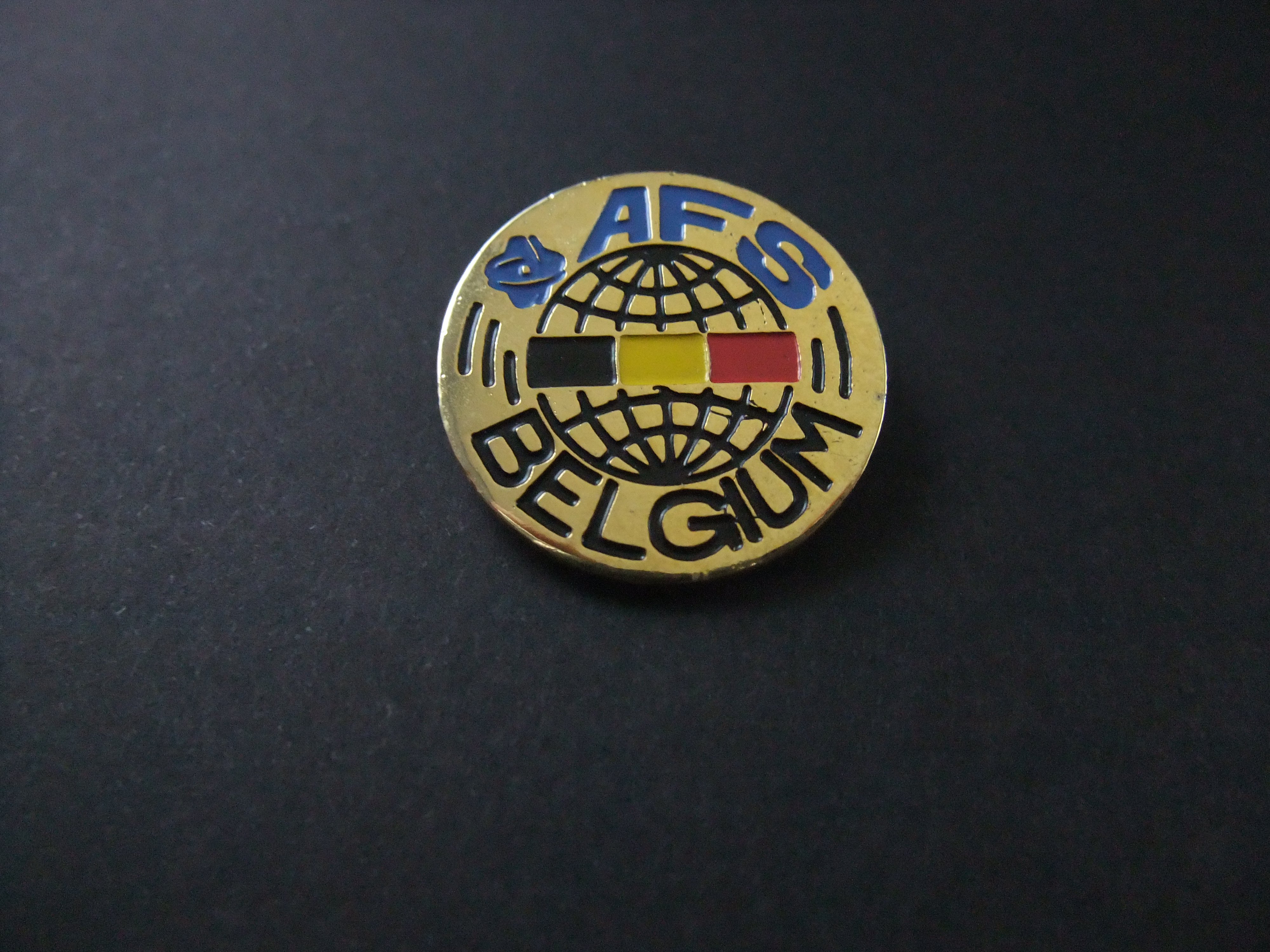 AFS Belgium ( uitwisselingsorganisatie voor jongeren)